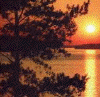 Solnedgang1.gif (46769 byte)